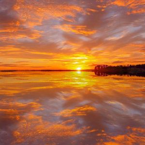 新东泰水蛇姐三技能视频
